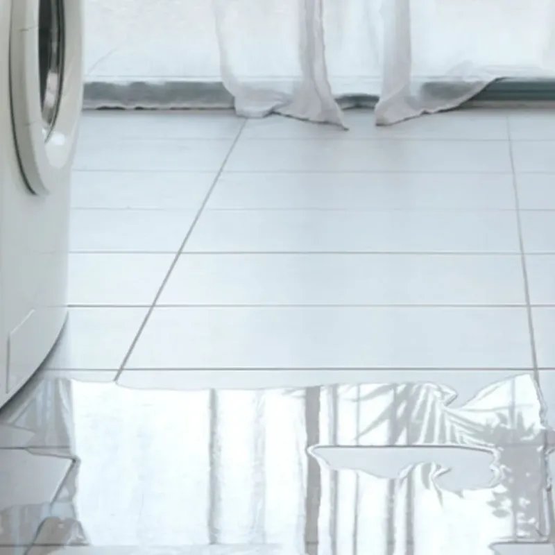 Appliance Leak Cleanup in Mosinee, WI