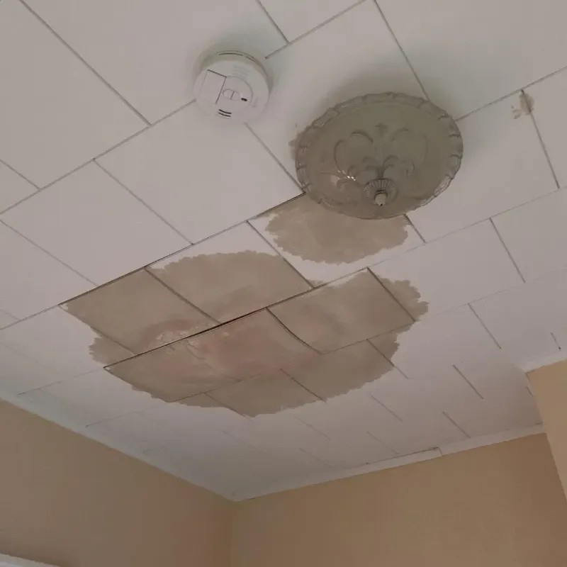 Ceiling Water Damage Repair in Mosinee, WI