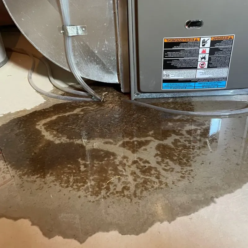 Pipe Burst and Leak Restoration in Mosinee, WI